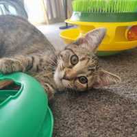 Photo of Maisy