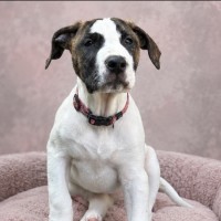 Photo of Squinny