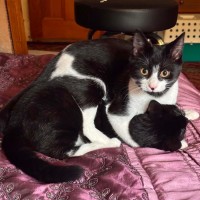 Photo of Dottie