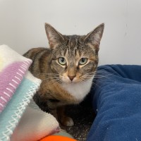 Photo of Fox And Scully