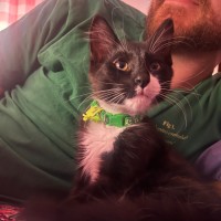 Photo of Dennis & Dot 