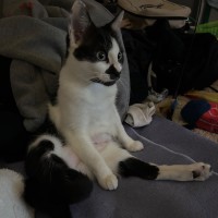 Photo of Gracey 💗