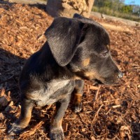 Photo of Bingo
