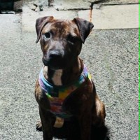 Photo of Sandy