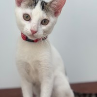 Photo of Verity & Solace