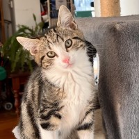 Photo of Tobias