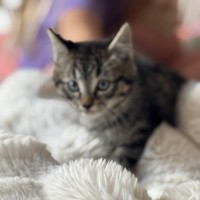 Photo of Ross Meet Me@Petstock Hastings Store 