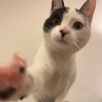 Photo of Birdie & Boo🐦