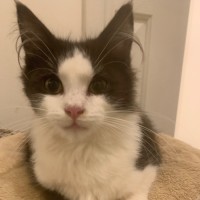 Photo of Zeke