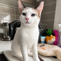Photo of Lumi