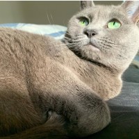 Photo of Luna