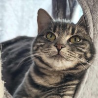 Photo of Ava   In Foster Care In Melbourne