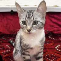 Photo of Otis And Reading