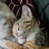 Photo of Osha & Rosemary