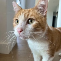 Photo of Tom