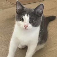 Photo of 💙 Denim 💙