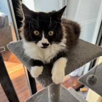 Photo of Mumbo
