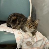Photo of Mildred
