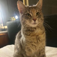 Photo of Lemon 🍋