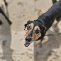 Photo of Max