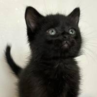 Photo of 🩷 Sabrina 🩷