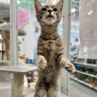 Photo of Mimi 