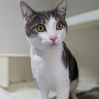 Photo of 📺 Toulouse 5727 📺