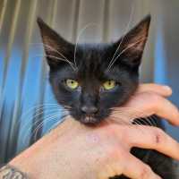 Photo of Martha Tippy