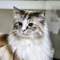 Photo of 🥂 Kiki 6409 🥂