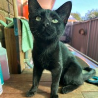 Photo of Zuzu