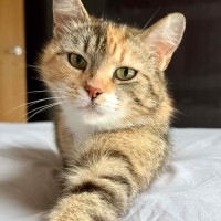 Photo of Indi 