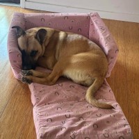 Photo of Powderfinger