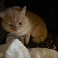 Photo of Major