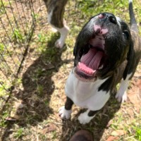 Photo of Clam Chowder