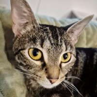 Photo of Yuki