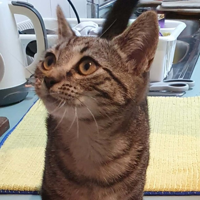Photo of Tabitha