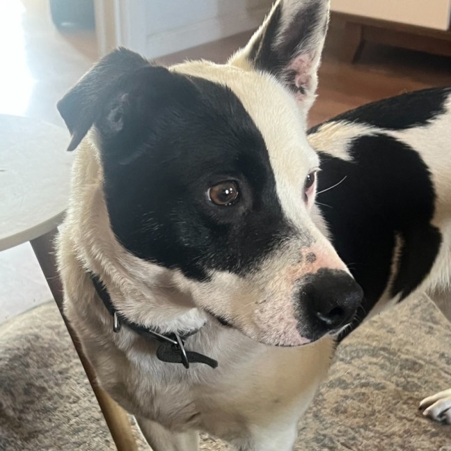 Photo of Heidi