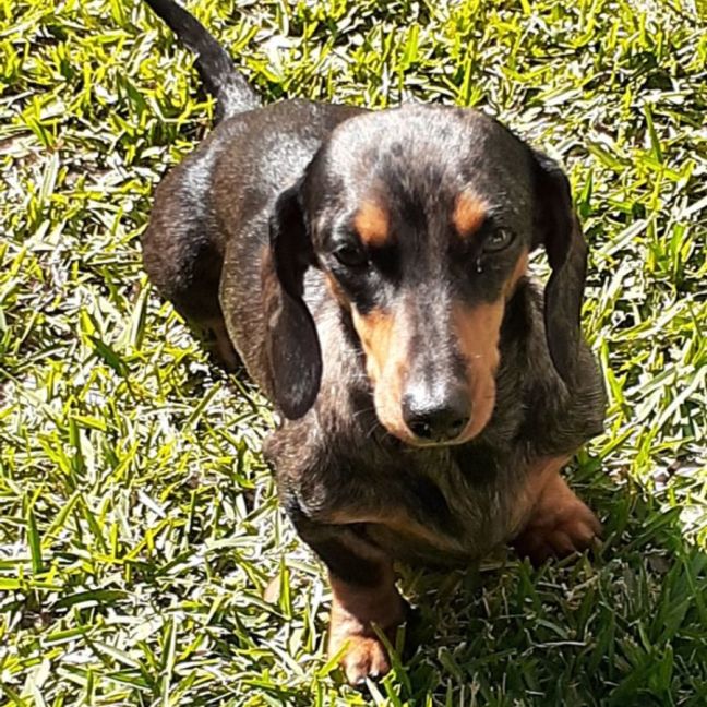 Photo of D1025 Bolts 