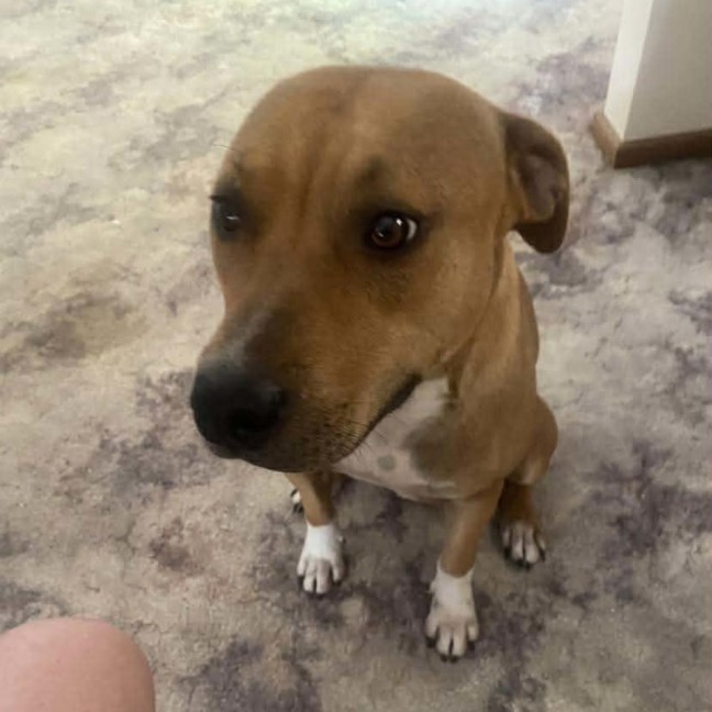 Photo of Tippsy