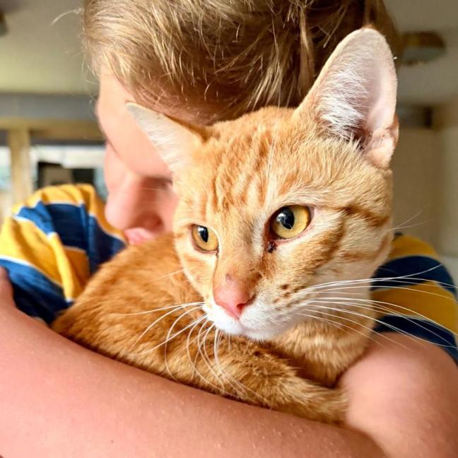 Photo of Cooper