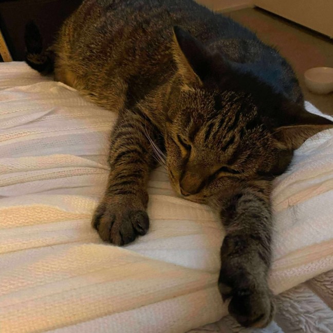 Photo of Zeus