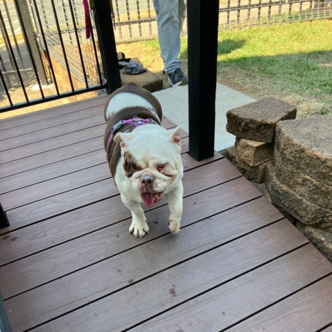 Photo of Phoebe