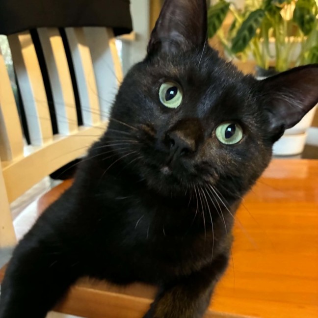Photo of Ernie And Binx