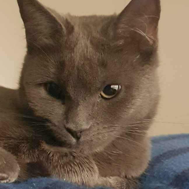Photo of Little Miss