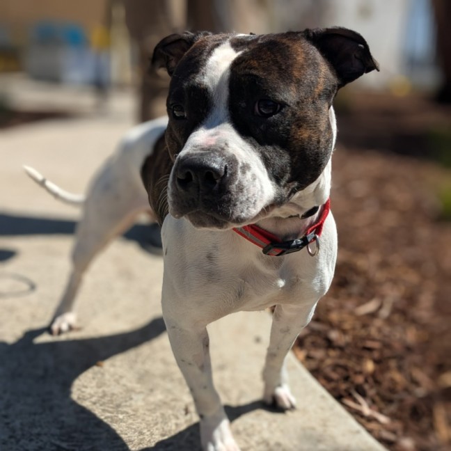 Photo of 🦒 Howard 6446 🦒