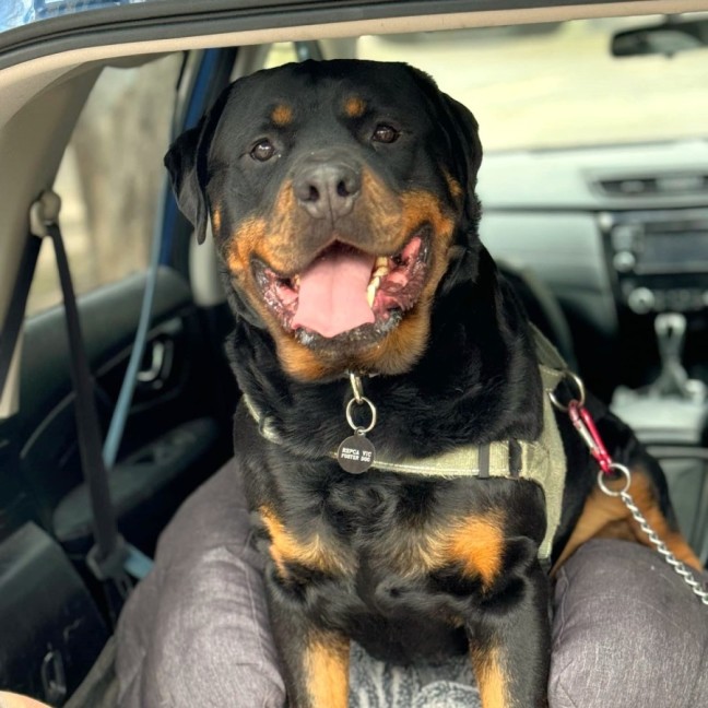 Photo of Wally