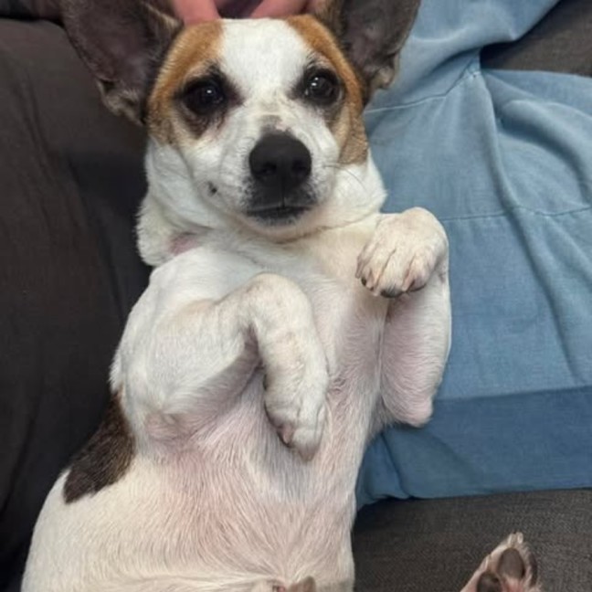 Photo of Gus