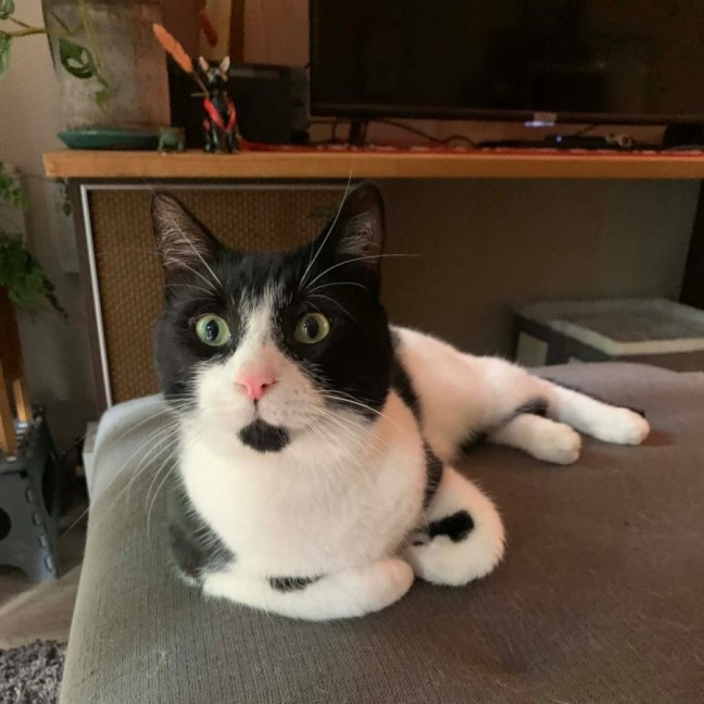 Photo of Taco