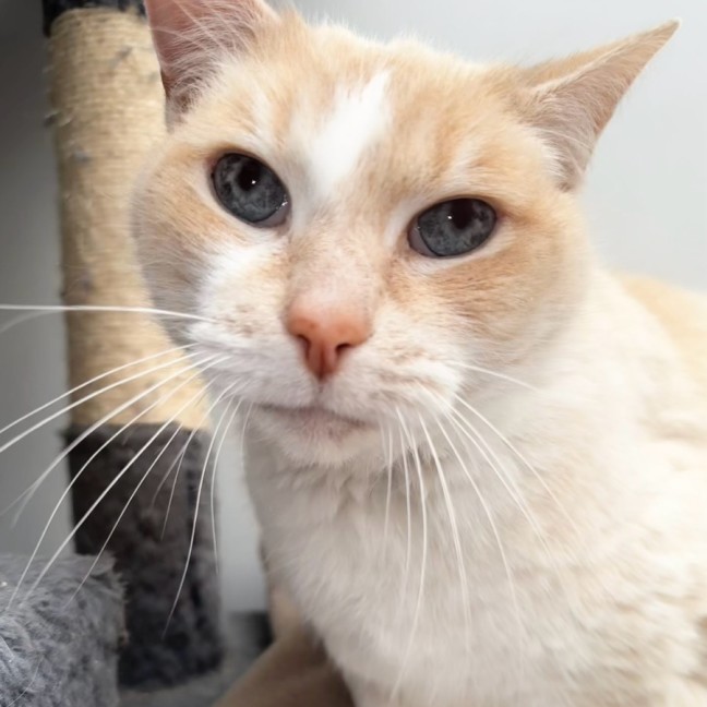 Photo of Rusty And Oscar 