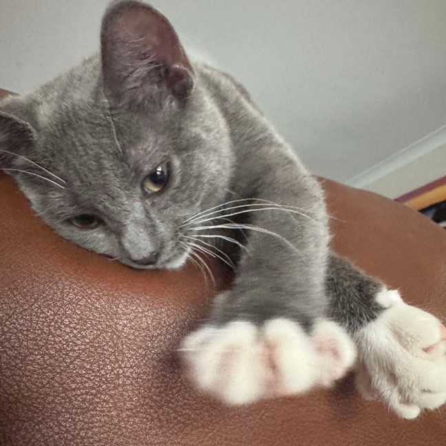 Photo of Stormi